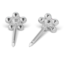 Daisy Abril Cristal & Octubre Rosa Plateada (Caja de 6 pares) - Studex Ibérica