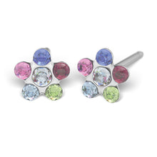 Daisy Arcoiris & Abril Cristal Plateada (Caja de 6 pares) - Studex Ibérica