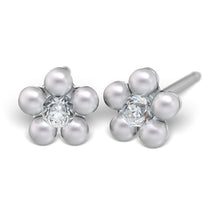 Daisy con Perla & Circonita cúbica, Plateada (Caja de 6 pares) - Studex Ibérica