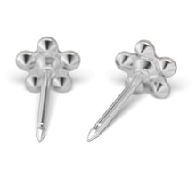 Margarida Cristal de Abril e Rosa Prateada de Outubro