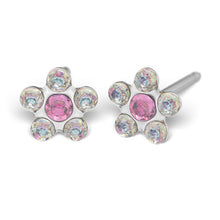 Margarida Cristal de Abril e Rosa Prateada de Outubro