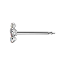 Margarida Cristal de Abril e Rosa Prateada de Outubro