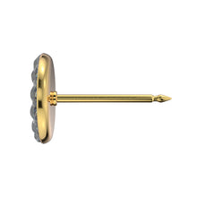 Novelty - Abril cristal Dorado (Caja de 6 pares) - Studex Ibérica